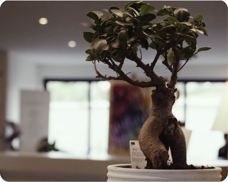 Decisios Right Detail